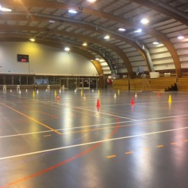 Basketbalstage